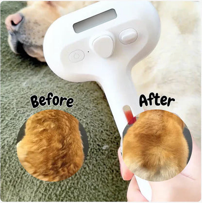 Lasstoys® Anti-Shedding Pet Spray Massage Hair Brushing Comb(SALON RESULTS, ZERO RISK)